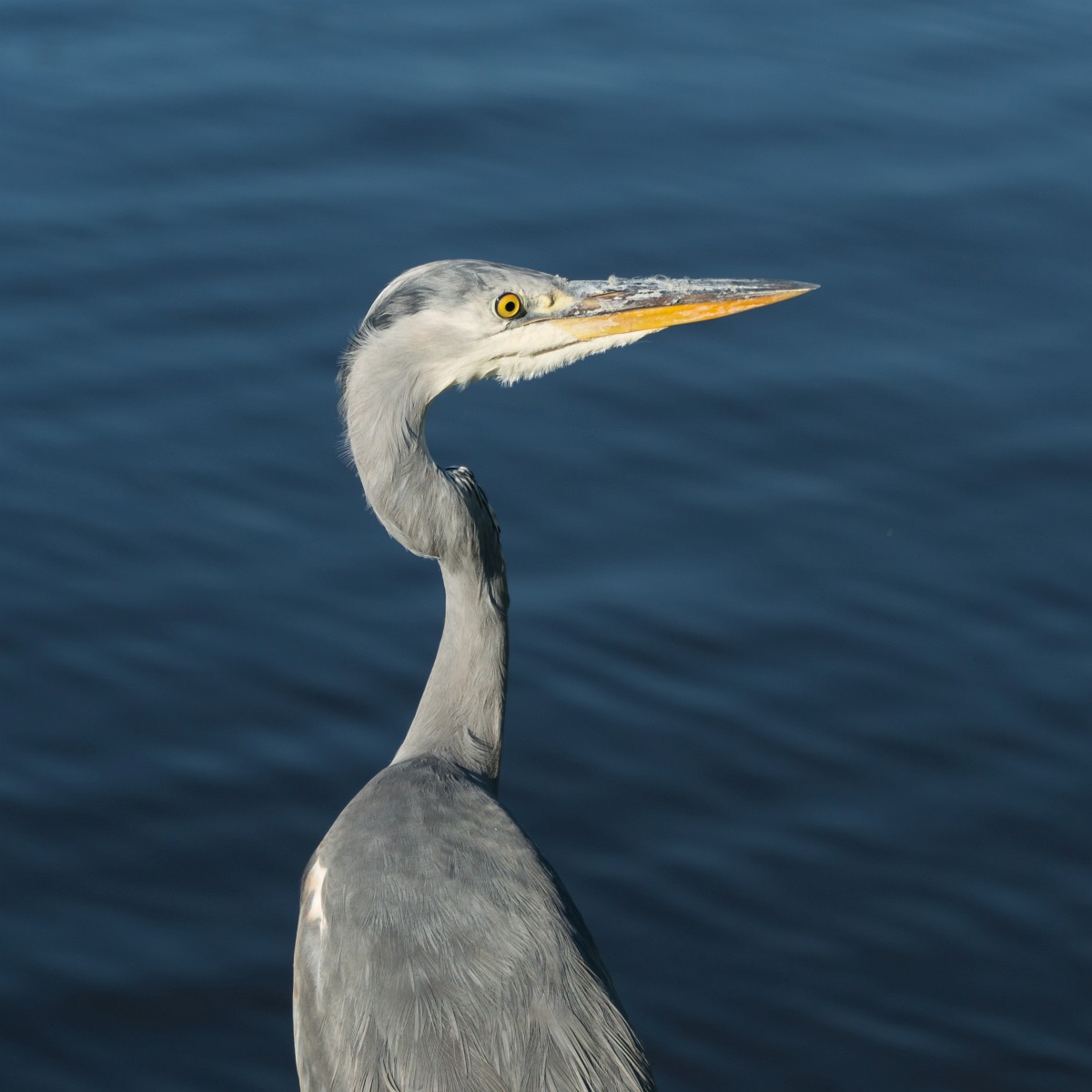 foto: [20181016PV4873]